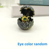 Black Gold 1Pc